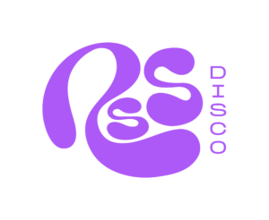 RSS Disco Logo